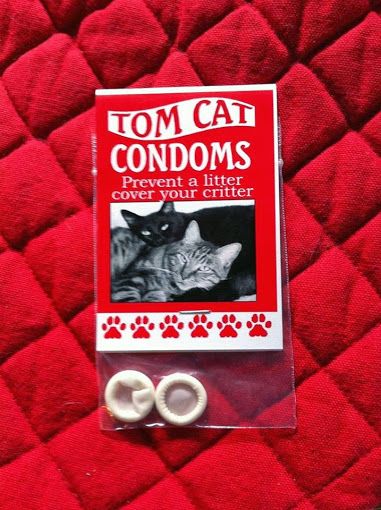 Cat Condoms
